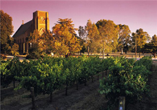 Sevenhill Cellars