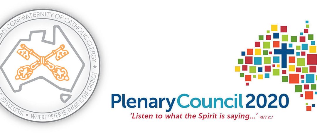 Submission to Plenary Council