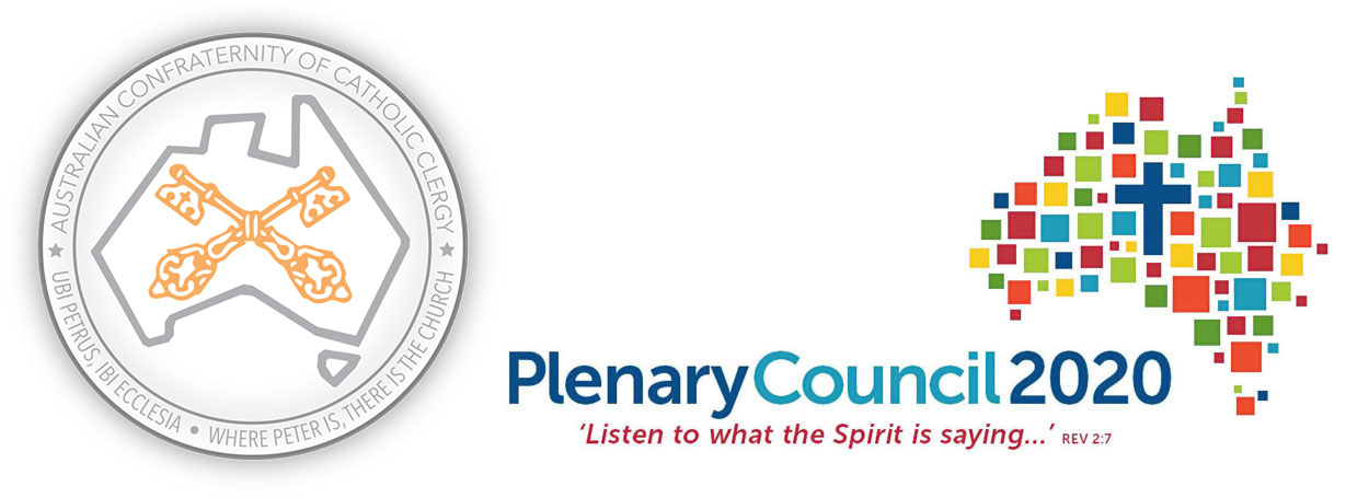 Submission to Plenary Council